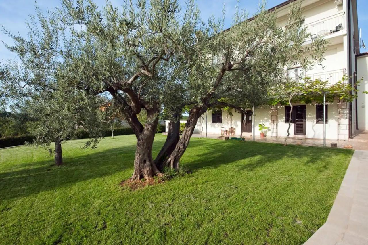 The Best Sunset Apartments Rovinj Exterior photo